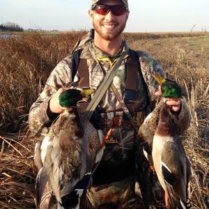 Meet your Posher, Logan